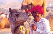 Ready for a Camel Ride