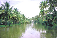 Cochin Waterway