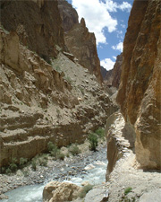Narrow Trail of Zanskar Trek