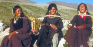 Ladakhi People