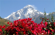 Ladakh Beauty